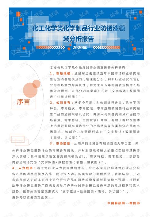 2020年化工化學化學制品行業防銹漆領域行業分析與市場調查報告